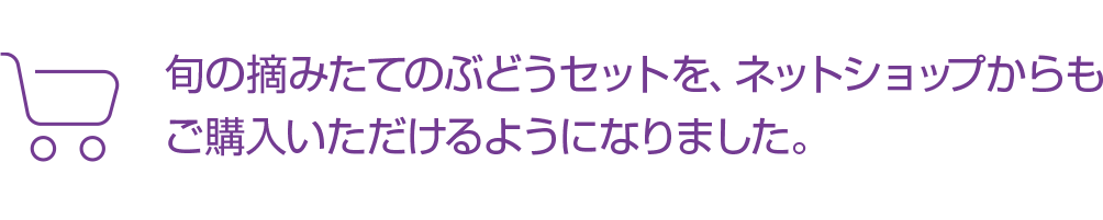 旬の摘みたてのぶどうセットを、ネットショップからもご購入いただけるようになりました。