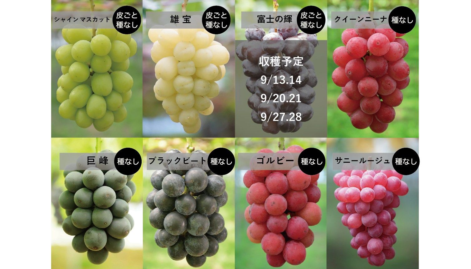 【専用】富士通⑮⑯まとめ買い商品 富士山ぶどう ボディコロン 15mL｜公式通販｜DAJ ONLINE｜デイリー